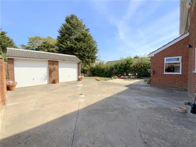 Picture 28